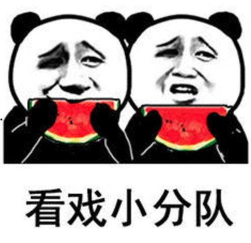 娱乐圈吃瓜的表情包